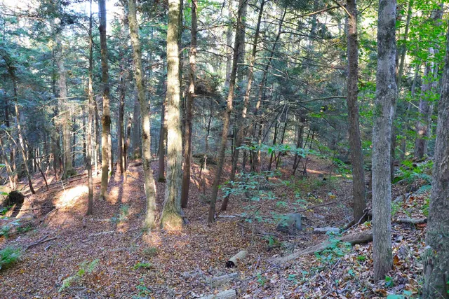 $137,000 | 0 Woodlawn Drive, Unit 2 & 3, White River Junction, VT 05001