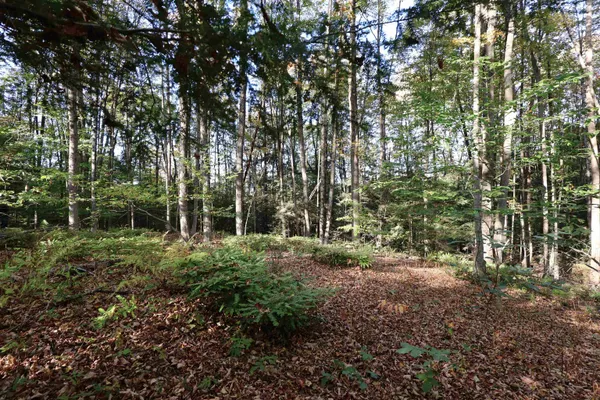 $137,000 | 0 Woodlawn Drive, Unit 2 & 3, White River Junction, VT 05001