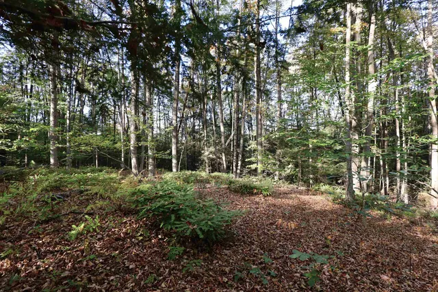 $137,000 | 0 Woodlawn Drive, Unit 2 & 3, White River Junction, VT 05001