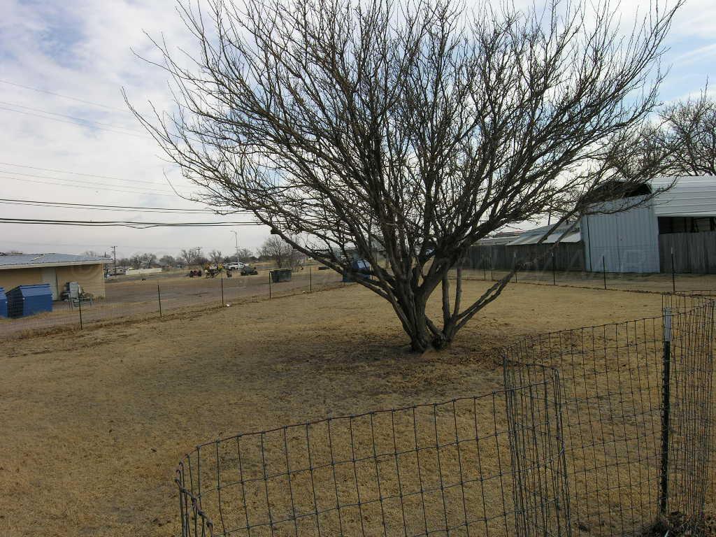 289 Overland Trail Fritch, TX 79036 - Photo 26 of 27 28-sideyard