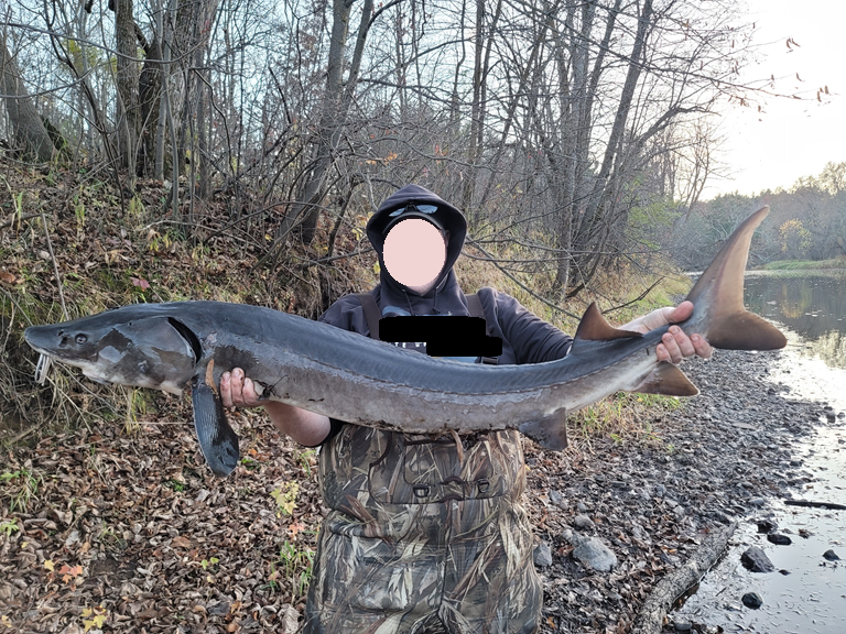 15-xxx Lofty Pines Road Pine City, MN 55063 - Photo 11 of 14