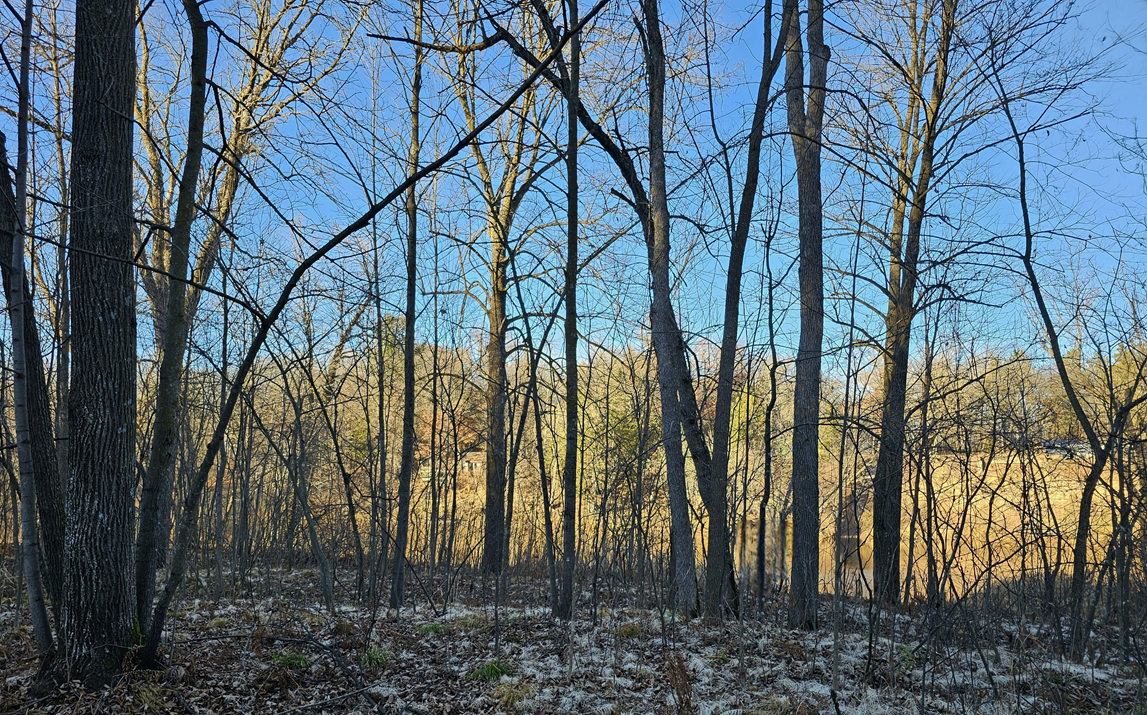 15-xxx Lofty Pines Road Pine City, MN 55063 - Photo 13 of 14