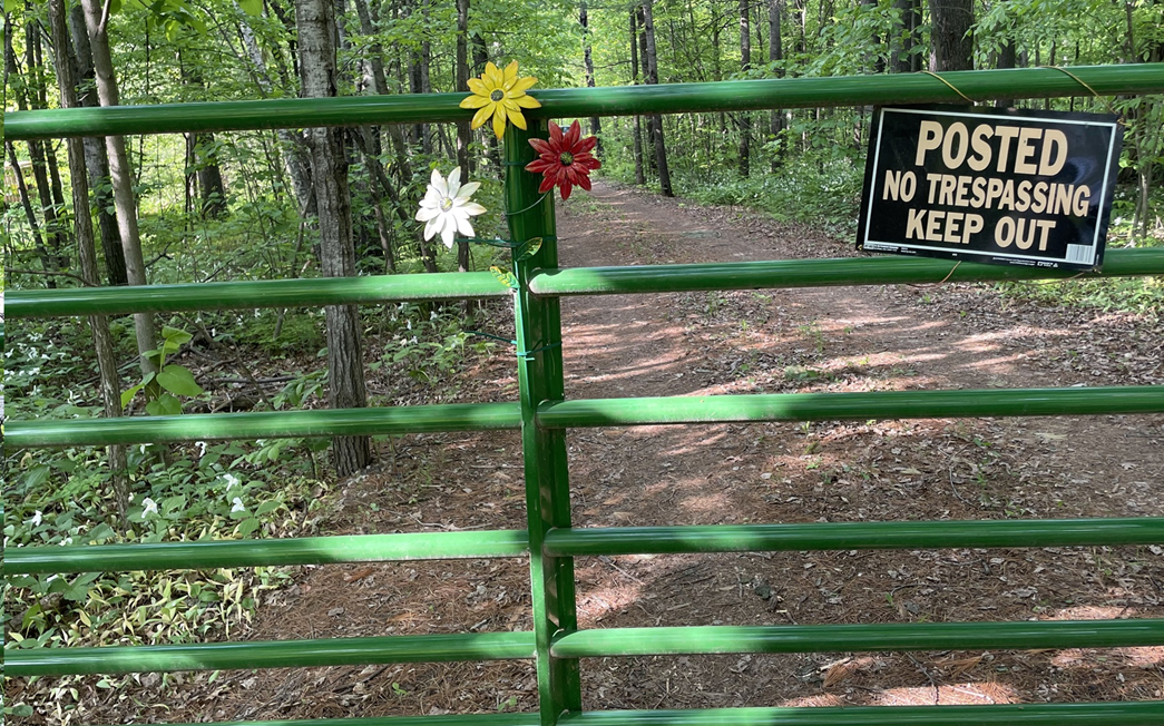 15-xxx Lofty Pines Road Pine City, MN 55063 - Photo 2 of 14