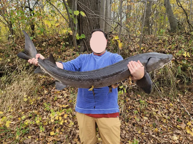 $120,000 | 15-xxx Lofty Pines Road, Pine City, MN 55063