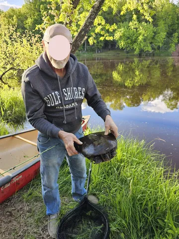 $120,000 | 15-xxx Lofty Pines Road, Pine City, MN 55063