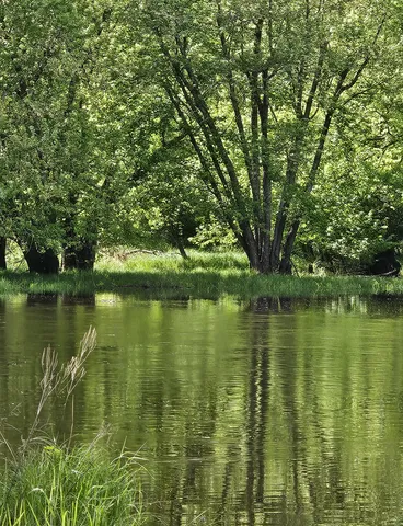 $120,000 | 15-xxx Lofty Pines Road, Pine City, MN 55063