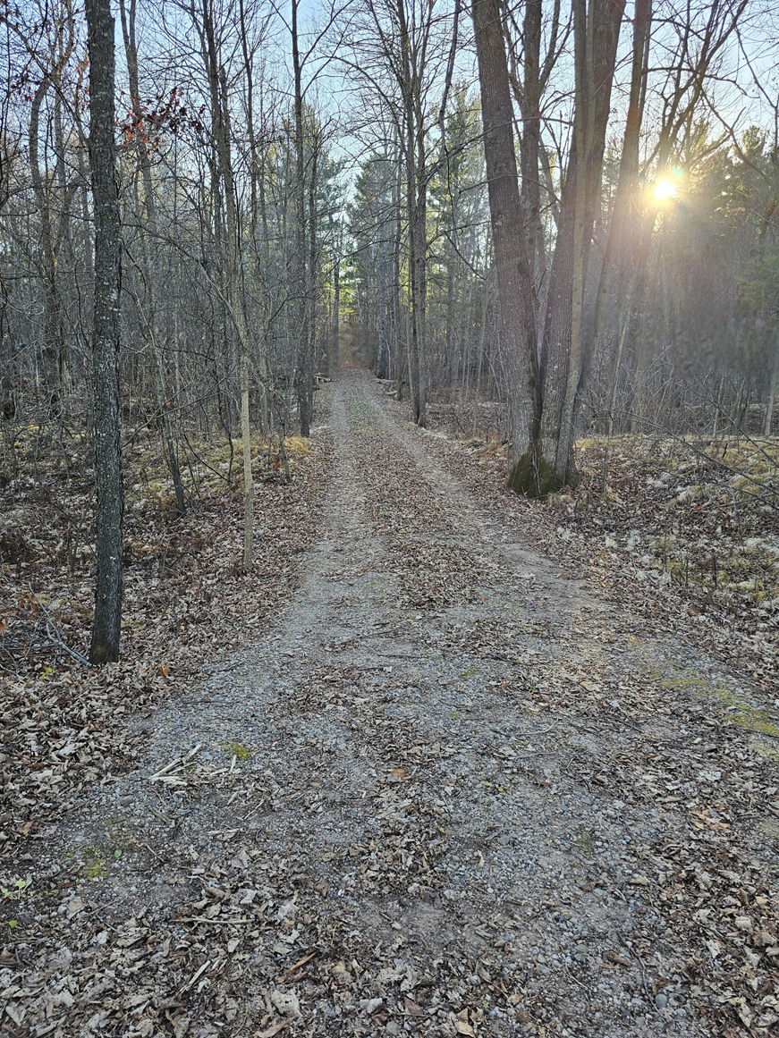 15-xxx Lofty Pines Road Pine City, MN 55063 - Photo 10 of 16