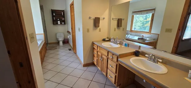 a bathroom with a sink a mirror and a toilet
