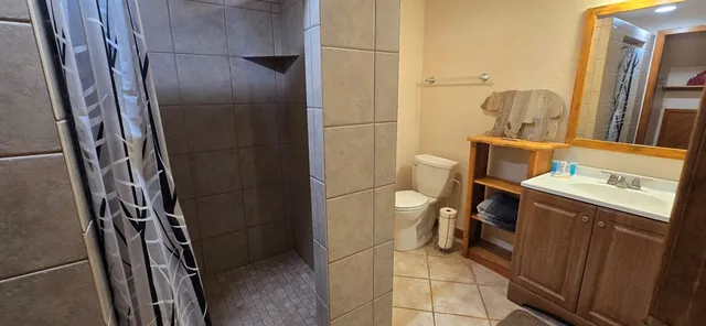 a bathroom with a sink toilet and shower