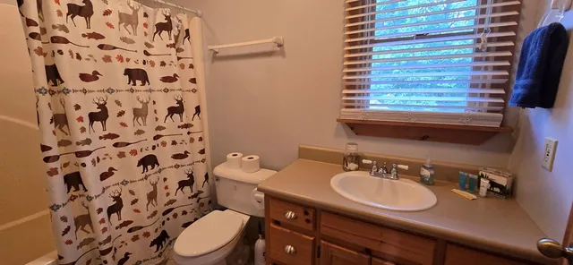a bathroom with a sink toilet and shower