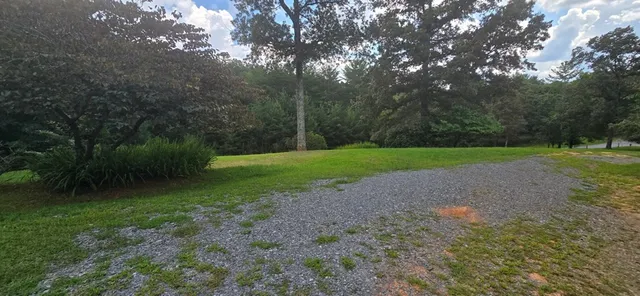a view of a field with trees in background