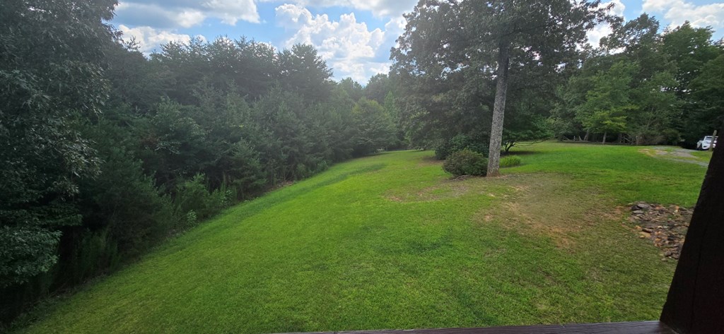 376 Crestview Drive Morganton, GA 30560 - Photo 5 of 37 a view of a big yard with large trees