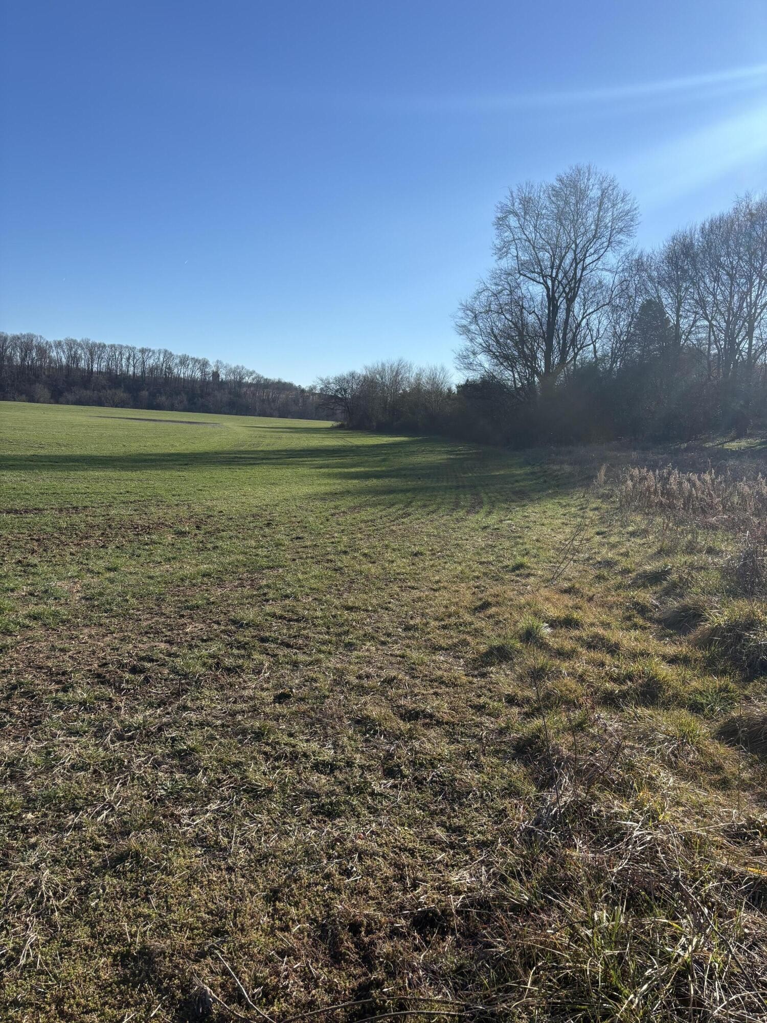 168 Moby Road Delano, TN 37325 - Photo 8 of 20