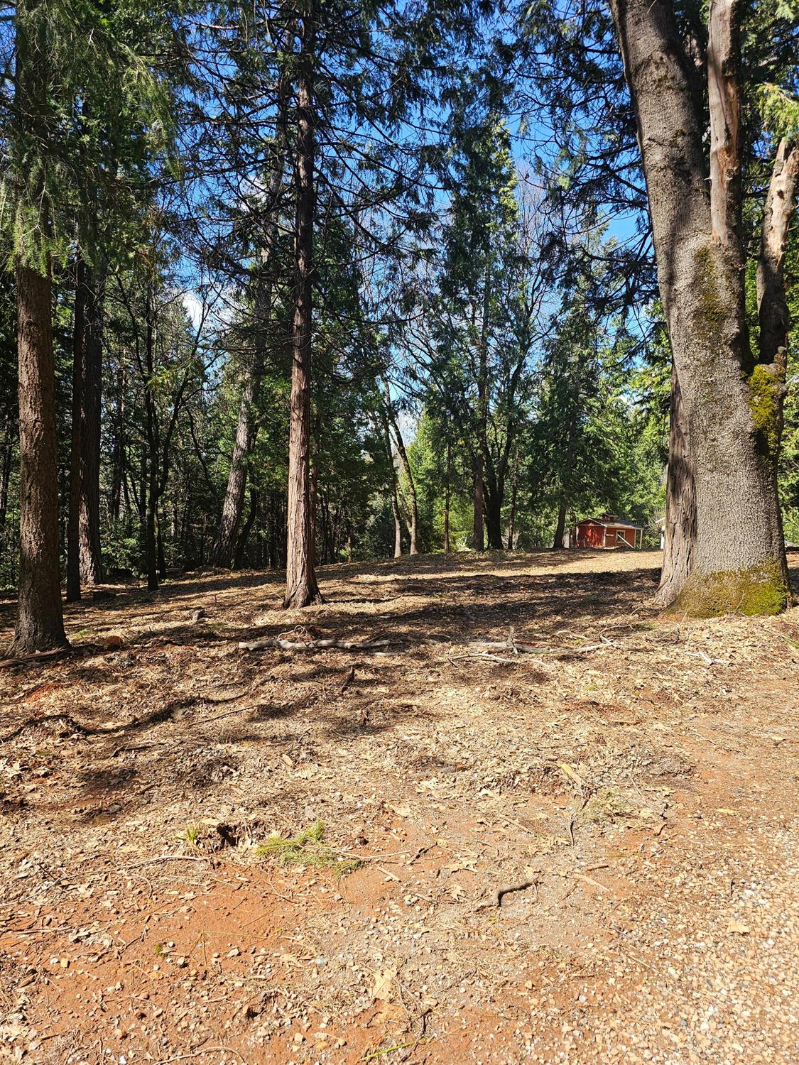 19344 Louis Road Grass Valley, CA 95945 - Photo 9 of 54