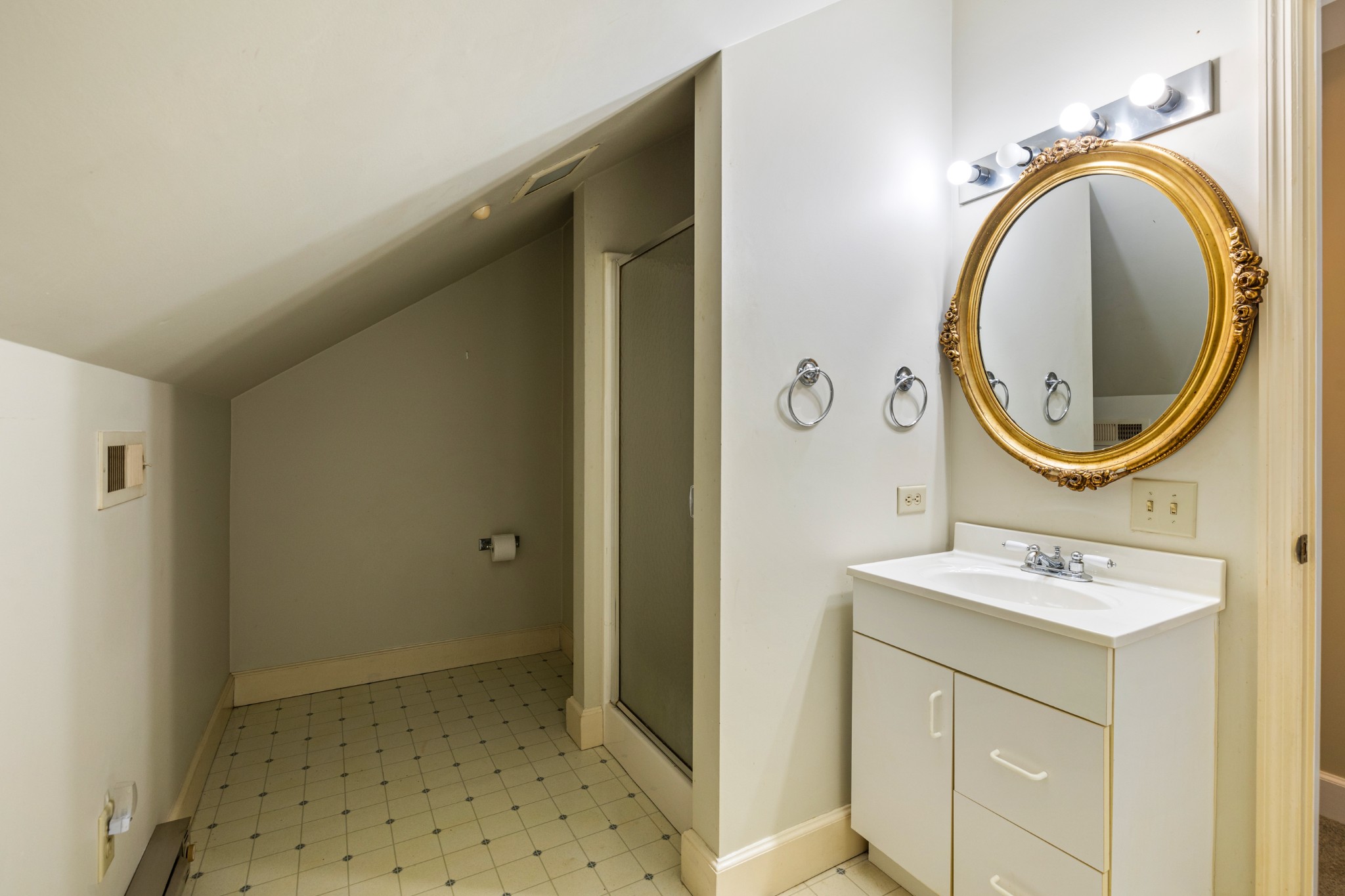 2600 Charlie Thomas Road Cornersville, TN 37047 - Photo 21 of 35 a bathroom with a sink a mirror and a shower
