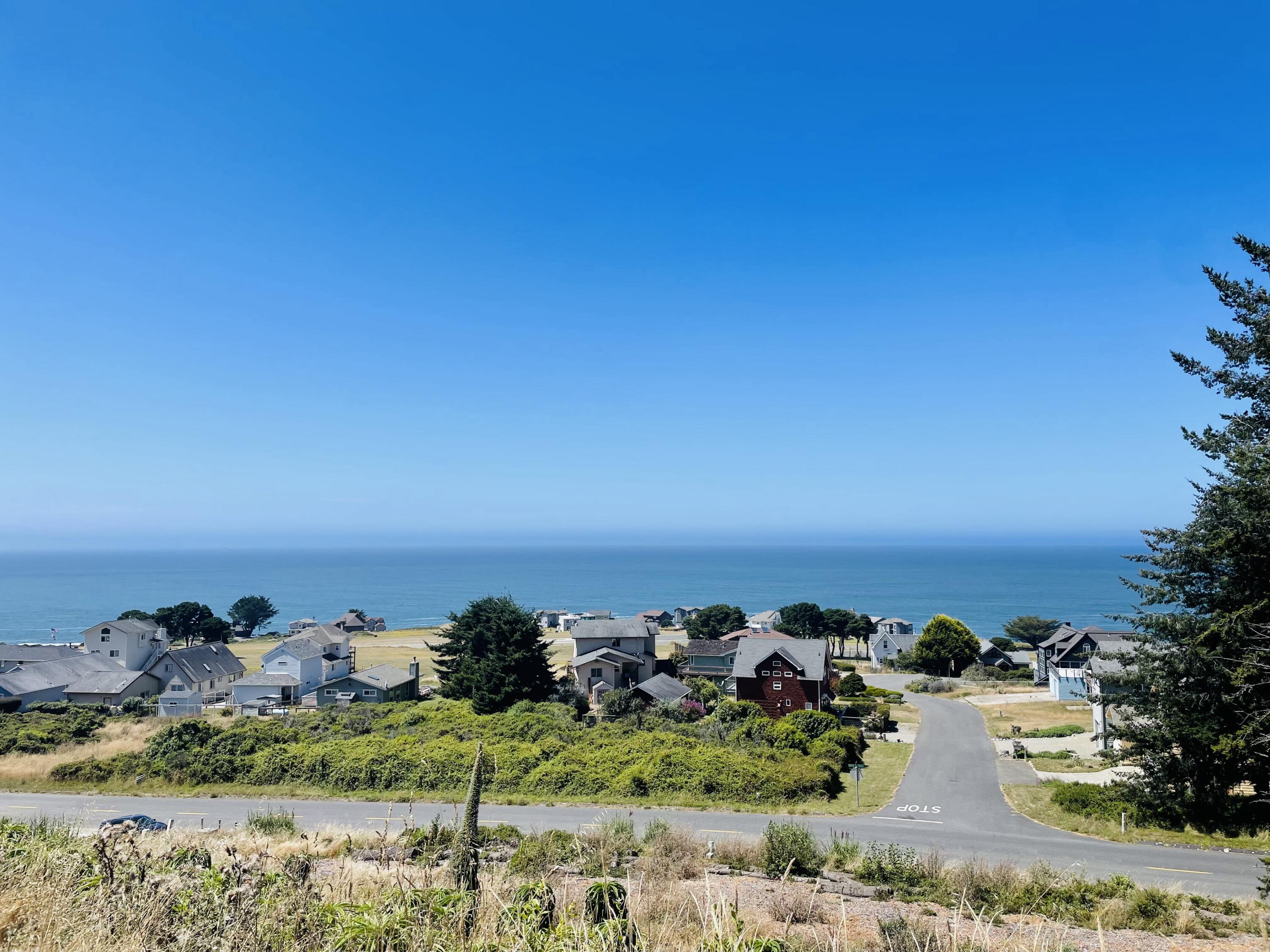 157 Du Luard Road Whitethorn, CA 95589 - Photo 1 of 1 Gallery Image 1