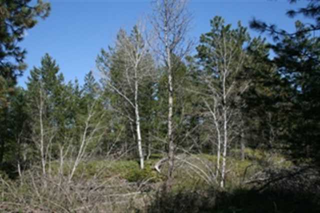 Xxx West Xxx W Chattaroy Road, Unit A Colbert, WA 99005 - Photo 2 of 8 Gallery Image 2