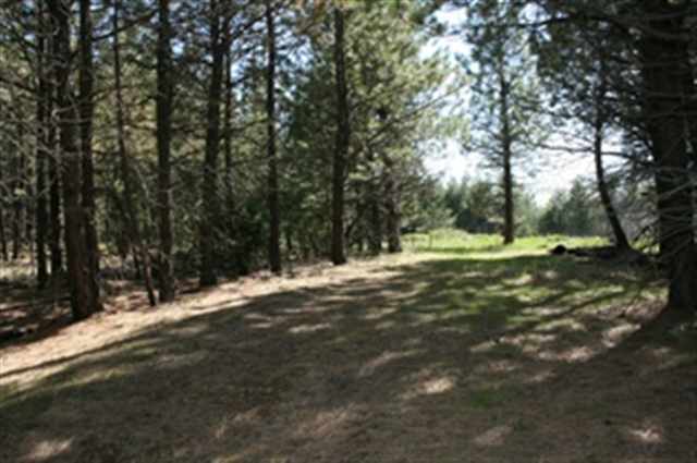 Xxx West Xxx W Chattaroy Road, Unit A Colbert, WA 99005 - Photo 3 of 8 Gallery Image 3