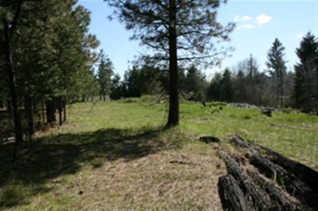 Xxx West Xxx W Chattaroy Road, Unit A Colbert, WA 99005 - Photo 5 of 8 Gallery Image 5