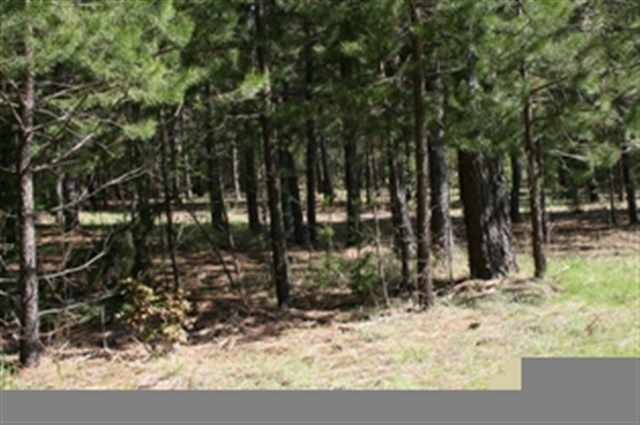 Xxx West Xxx W Chattaroy Road, Unit A Colbert, WA 99005 - Photo 6 of 8 Gallery Image 6