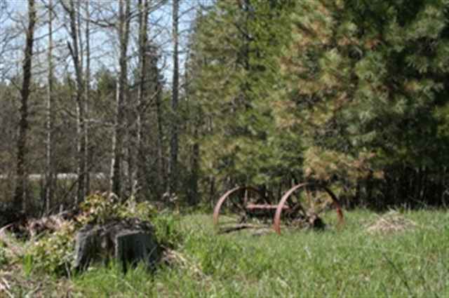 Xxx West Xxx W Chattaroy Road, Unit A Colbert, WA 99005 - Photo 7 of 8 Gallery Image 7