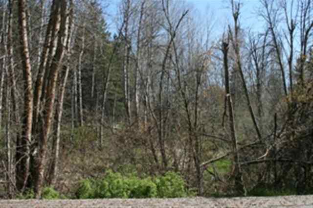 Xxx West Xxx W Chattaroy Road, Unit A Colbert, WA 99005 - Photo 8 of 8 Gallery Image 8