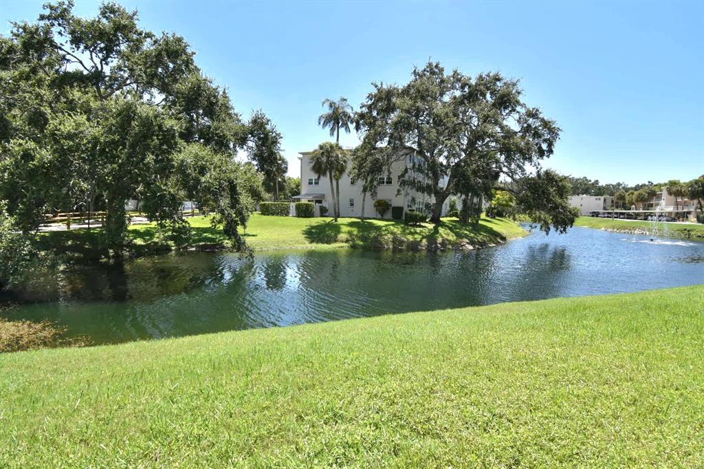 946 Virginia Street, Unit 102 Dunedin, FL 34698 - Photo 2 of 30 a view of lake with green space