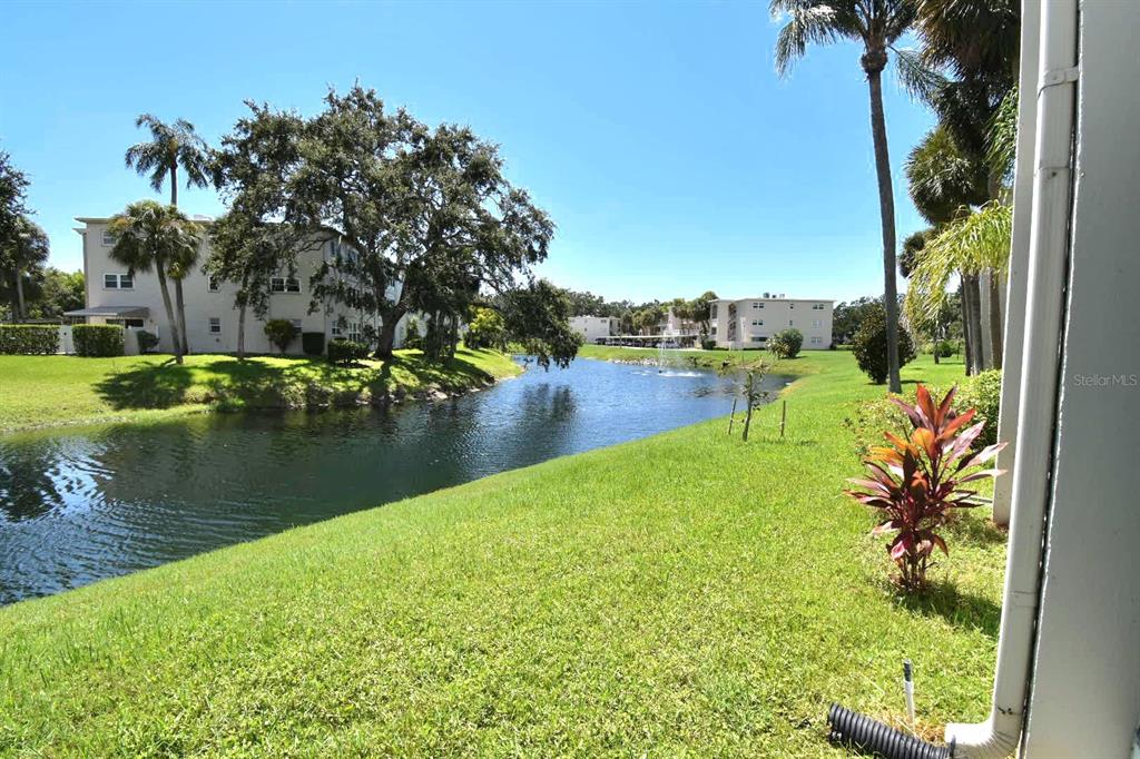 946 Virginia Street, Unit 102 Dunedin, FL 34698 - Photo 22 of 30 a view of a lake with houses in the back