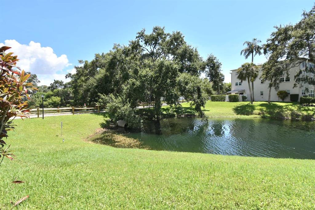 946 Virginia Street, Unit 102 Dunedin, FL 34698 - Photo 23 of 30 a view of a lake view