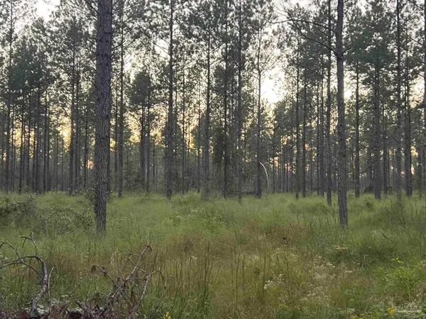 $239,000 | Lot 6 Wallace Lake Road, Pace, FL 32571