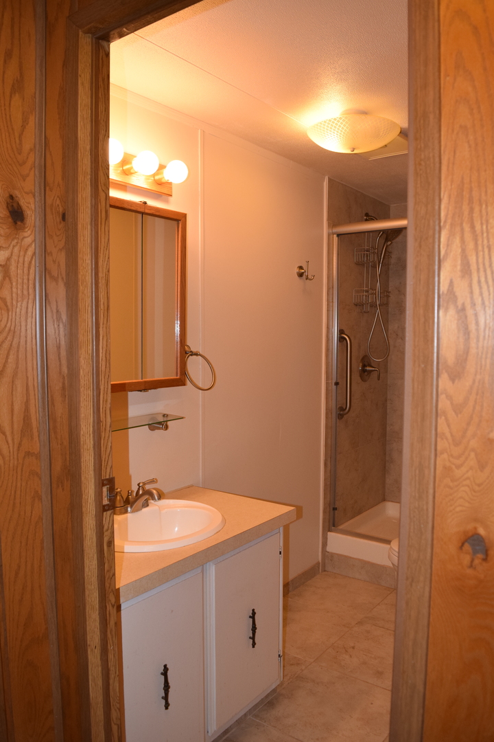 746 Chapparal Terrace Matteson, IL 60443 - Photo 14 of 17 a bathroom with a sink a mirror and a shower