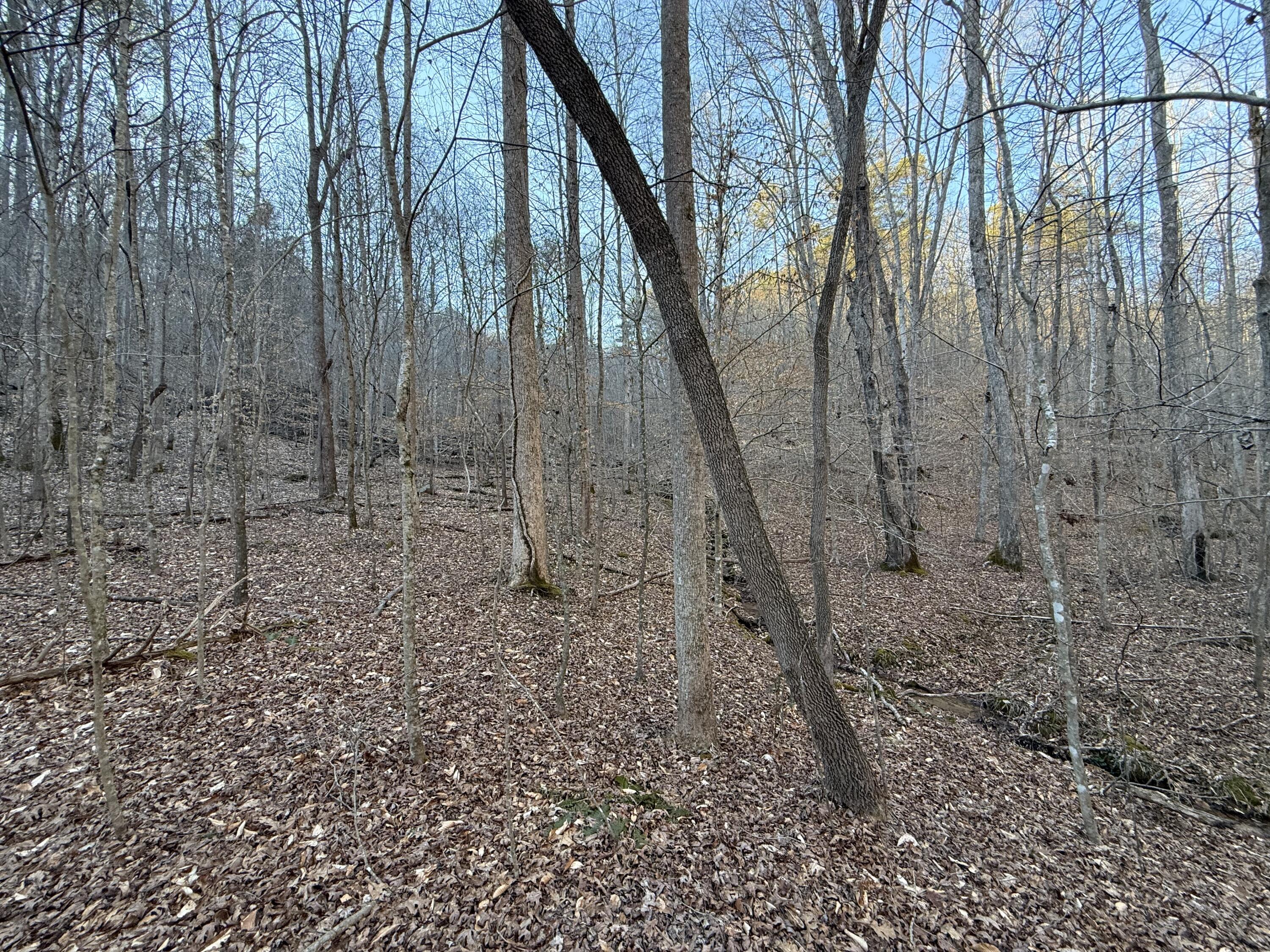 9991 Red Hill Road Livingston, KY 40445 - Photo 22 of 48 IMG_8557