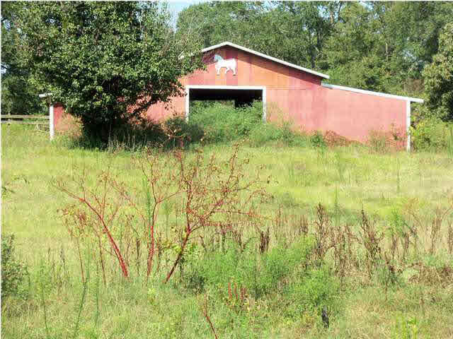160 Moody Road Forest, MS 39074 - Photo 10 of 11 Photo 10