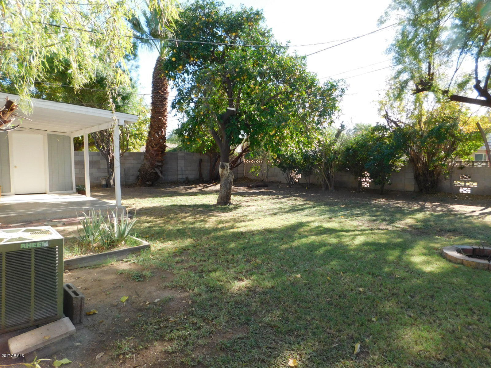 209 West Ruth Avenue Phoenix, AZ 85021 - Photo 15 of 17 Backyard 4