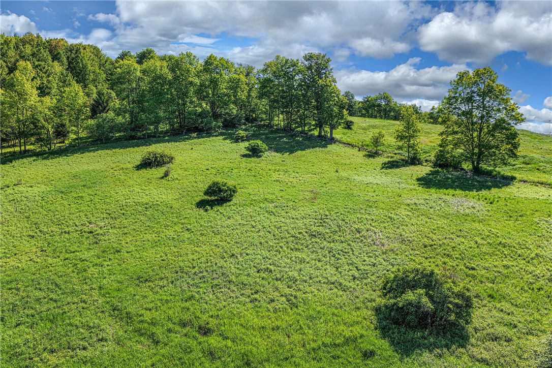 26 Federal Hill Road Delhi, NY 13753 - Photo 49 of 50