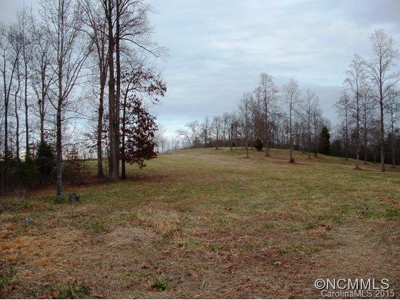 0 Manus Chapel Road Tryon, NC 28722 - Photo 14 of 20 Gallery Image 14