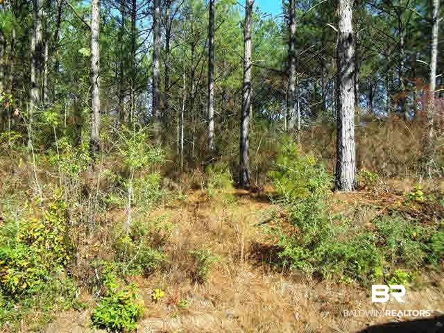 962 West State Line Road Flomaton, AL 36441 - Photo 3 of 16