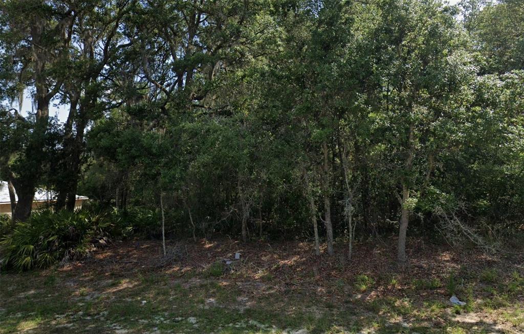 Southwest 79th Ave Road Ocala, FL 34473 - Photo 4 of 4 a backyard of a house with lots of green space