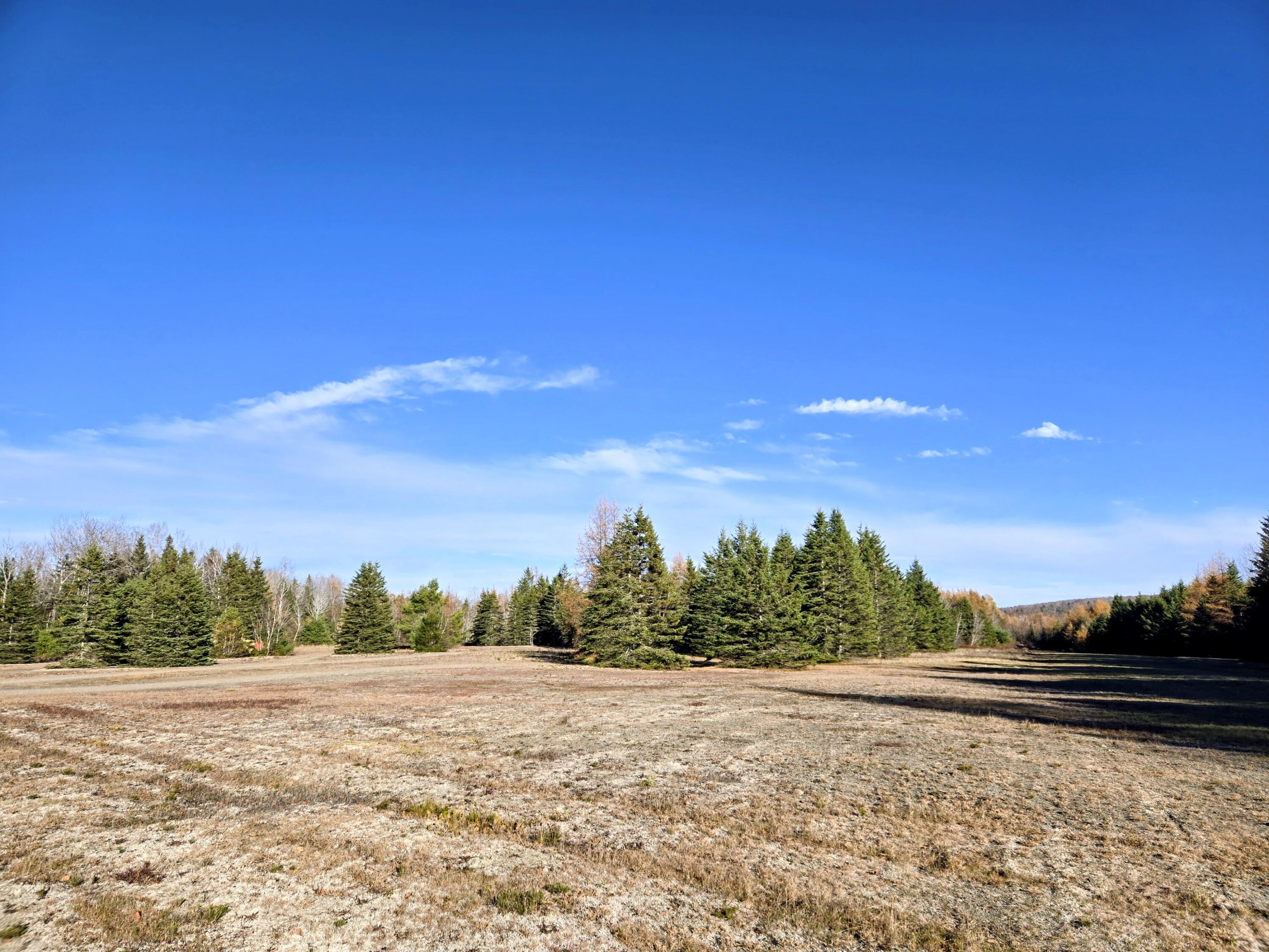 Lot 11 Holeb Road Jackman, ME 04945 - Photo 43 of 59 Private Airstrip. Pilots Take Notice!