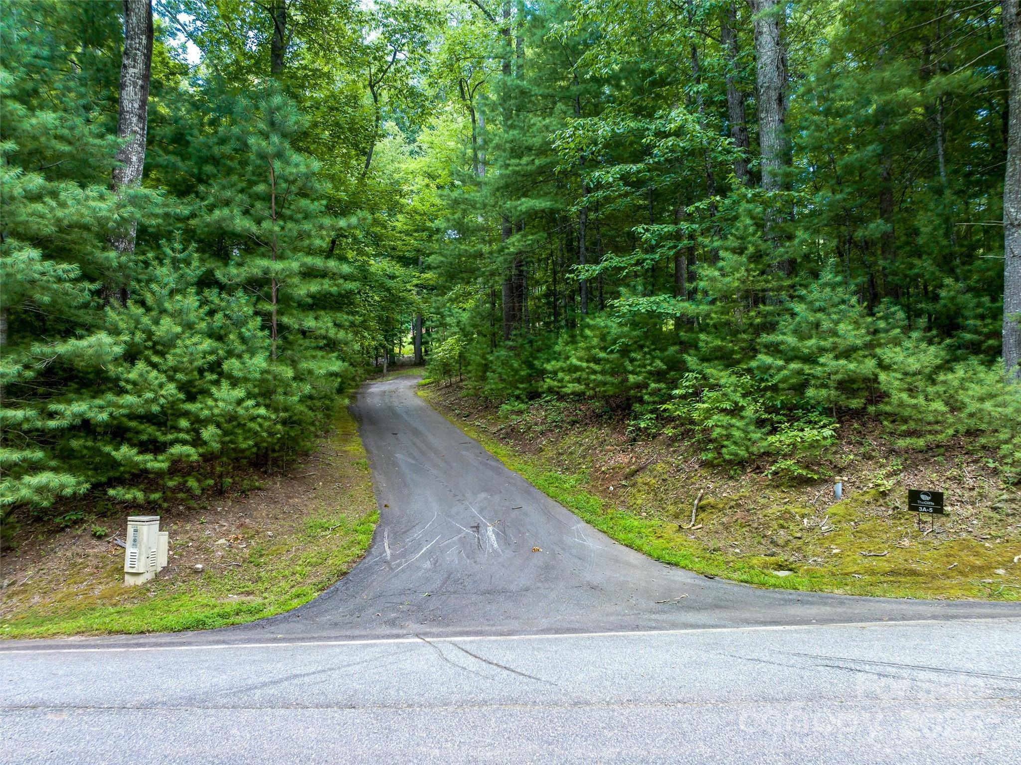 36 Dividing Ridge Trail, Unit 5 Arden, NC 28704 - Photo 1 of 18 a view of a yard with a slide