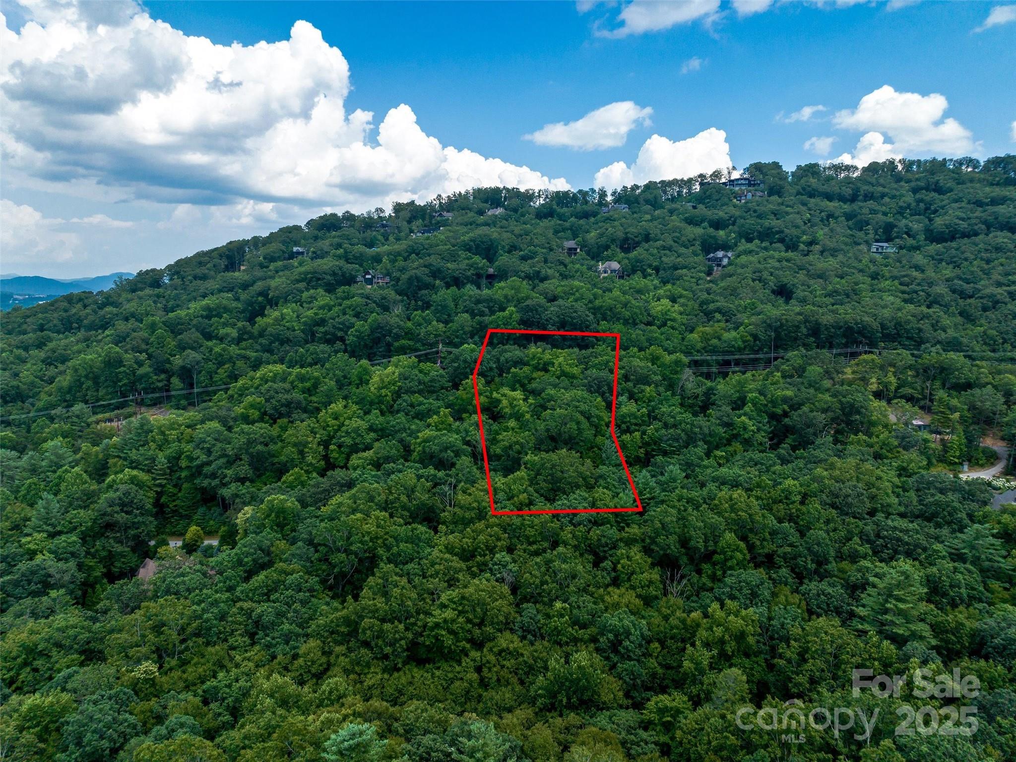 36 Dividing Ridge Trail, Unit 5 Arden, NC 28704 - Photo 11 of 18 a view of a bunch of trees in a field