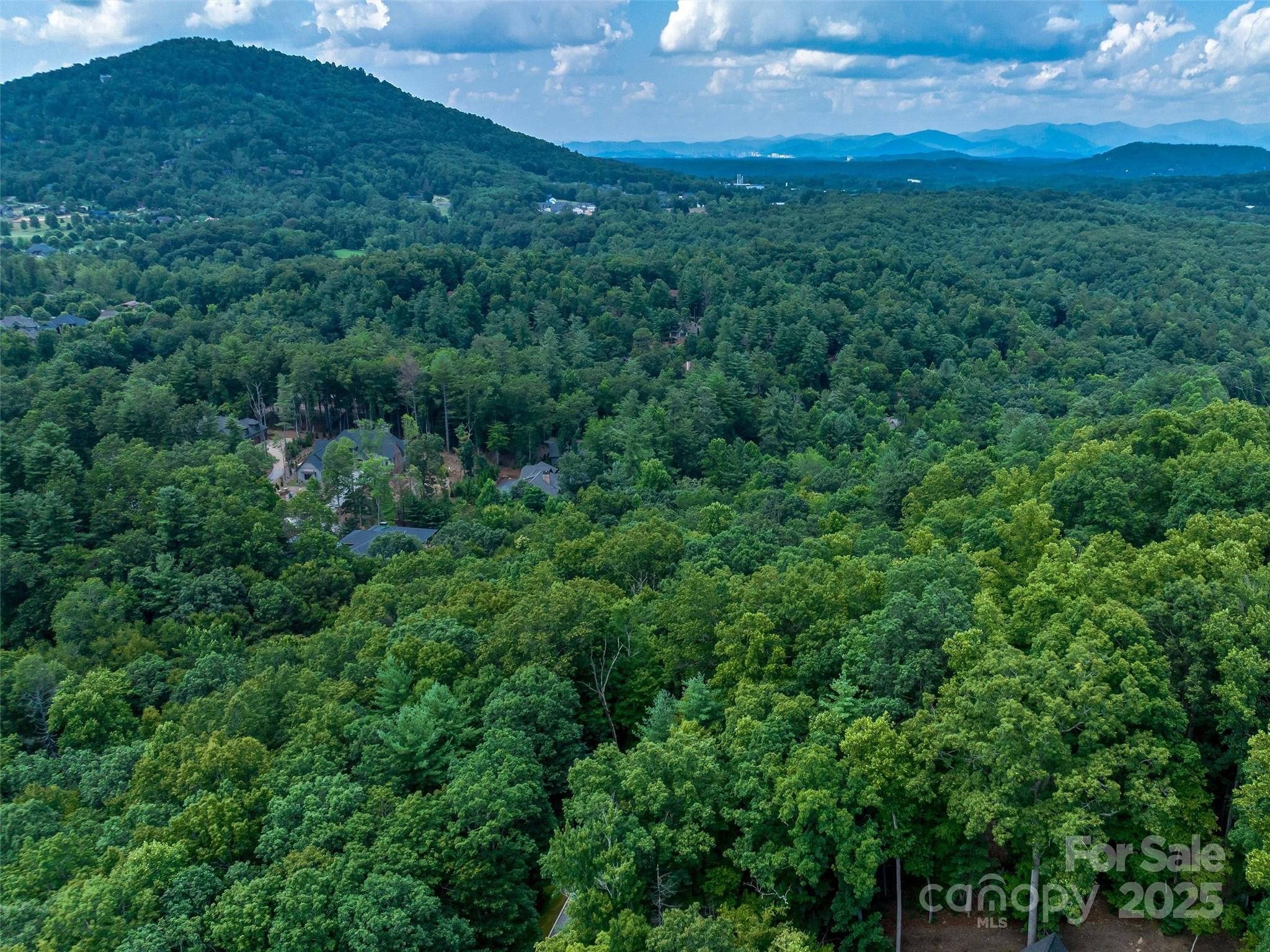 36 Dividing Ridge Trail, Unit 5 Arden, NC 28704 - Photo 12 of 18 a view of a big yard with lots of bushes