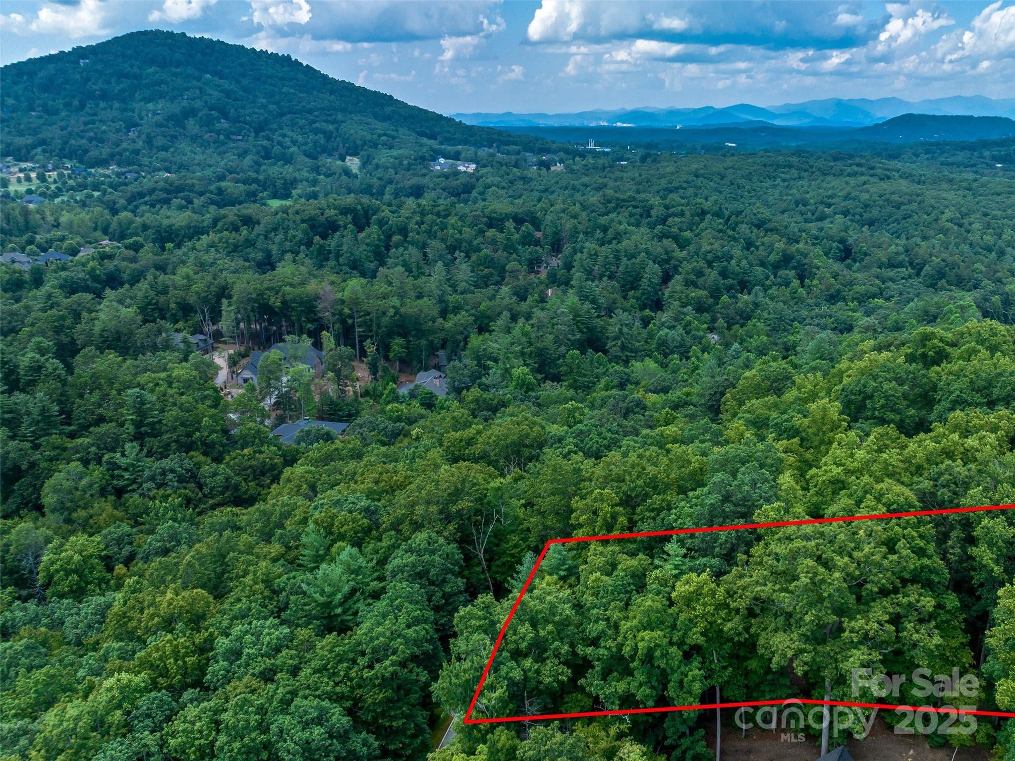 36 Dividing Ridge Trail, Unit 5 Arden, NC 28704 - Photo 13 of 18 a view of an outdoor space and a yard