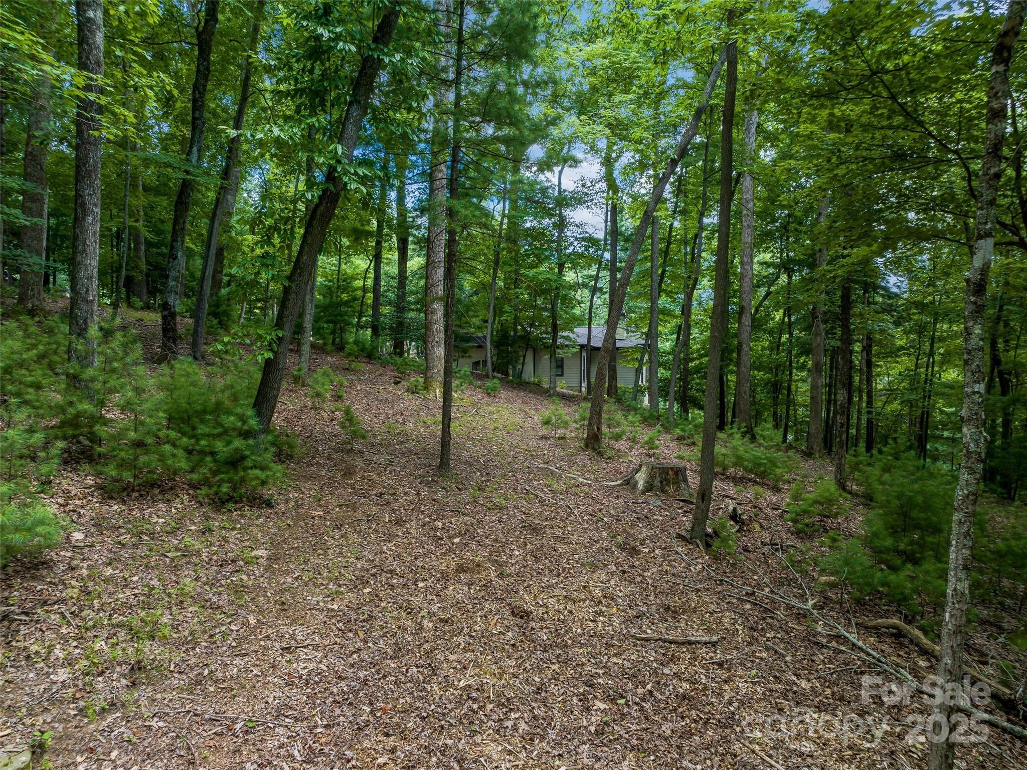 36 Dividing Ridge Trail, Unit 5 Arden, NC 28704 - Photo 14 of 18 a view of a forest with trees in the background
