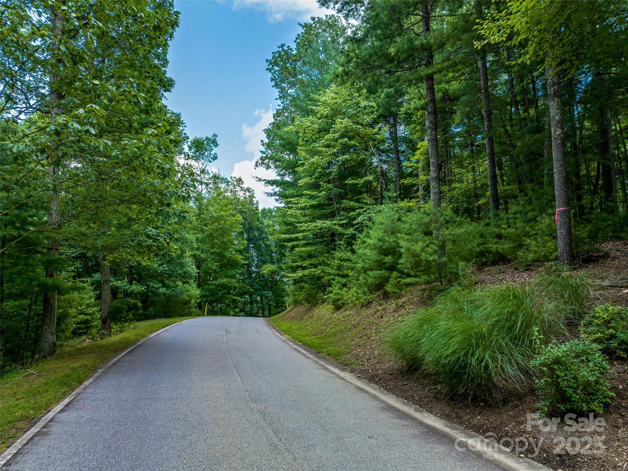 36 Dividing Ridge Trail, Unit 5 Arden, NC 28704 - Photo 15 of 18 a view of a road with a yard