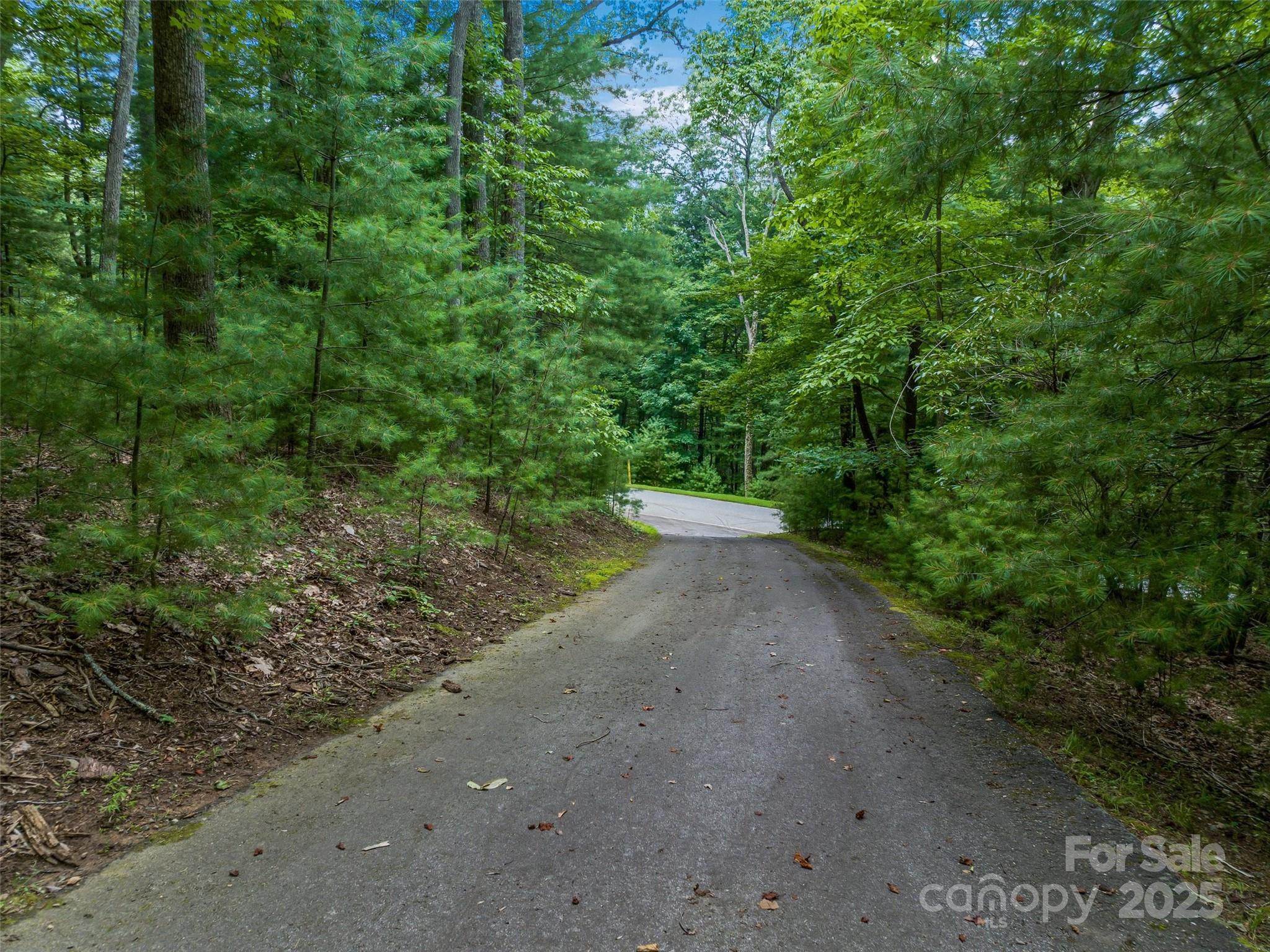 36 Dividing Ridge Trail, Unit 5 Arden, NC 28704 - Photo 17 of 18 a view of a road with a yard