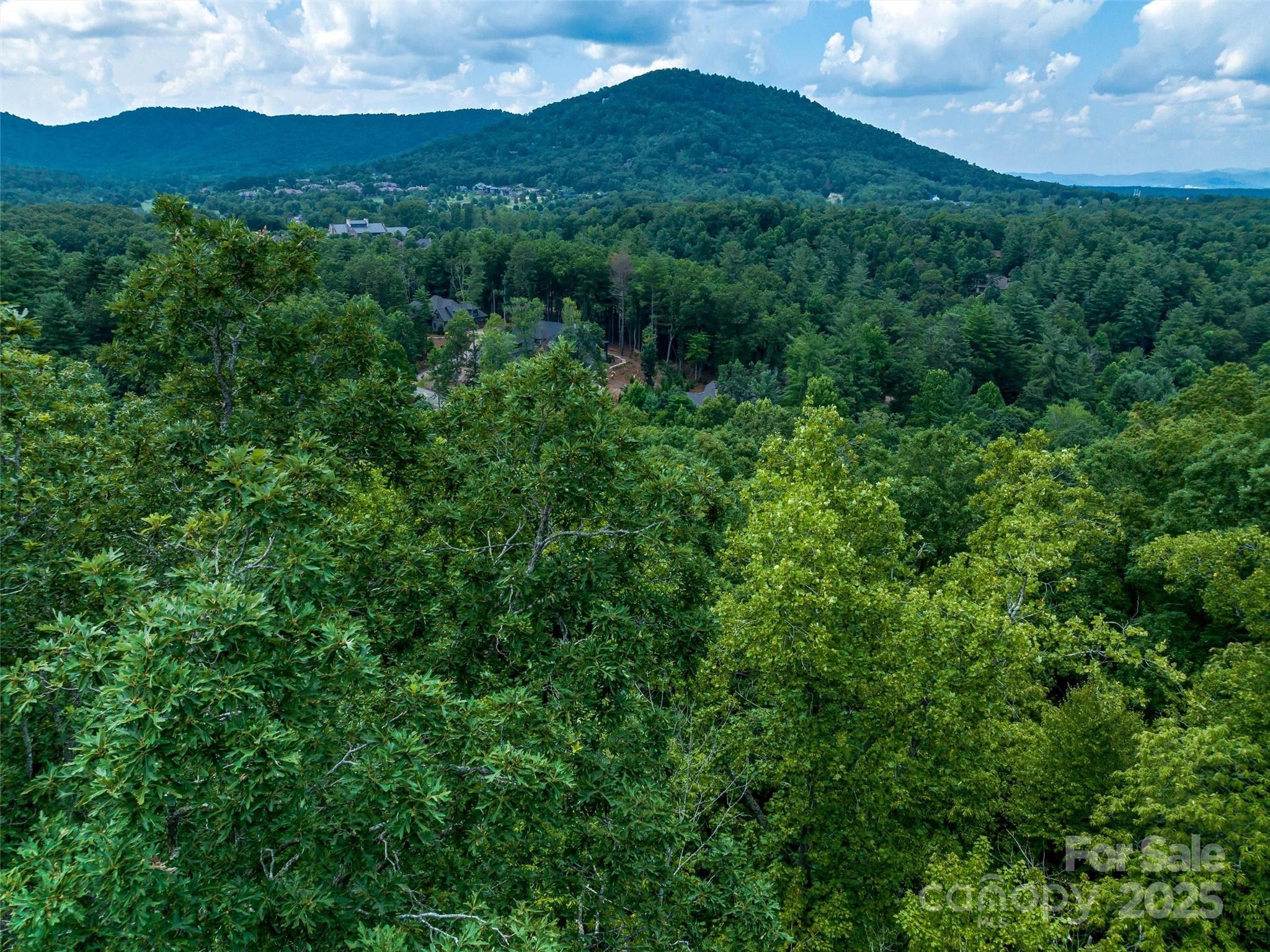 36 Dividing Ridge Trail, Unit 5 Arden, NC 28704 - Photo 2 of 18 a view of a lush green forest with a mountain in the background