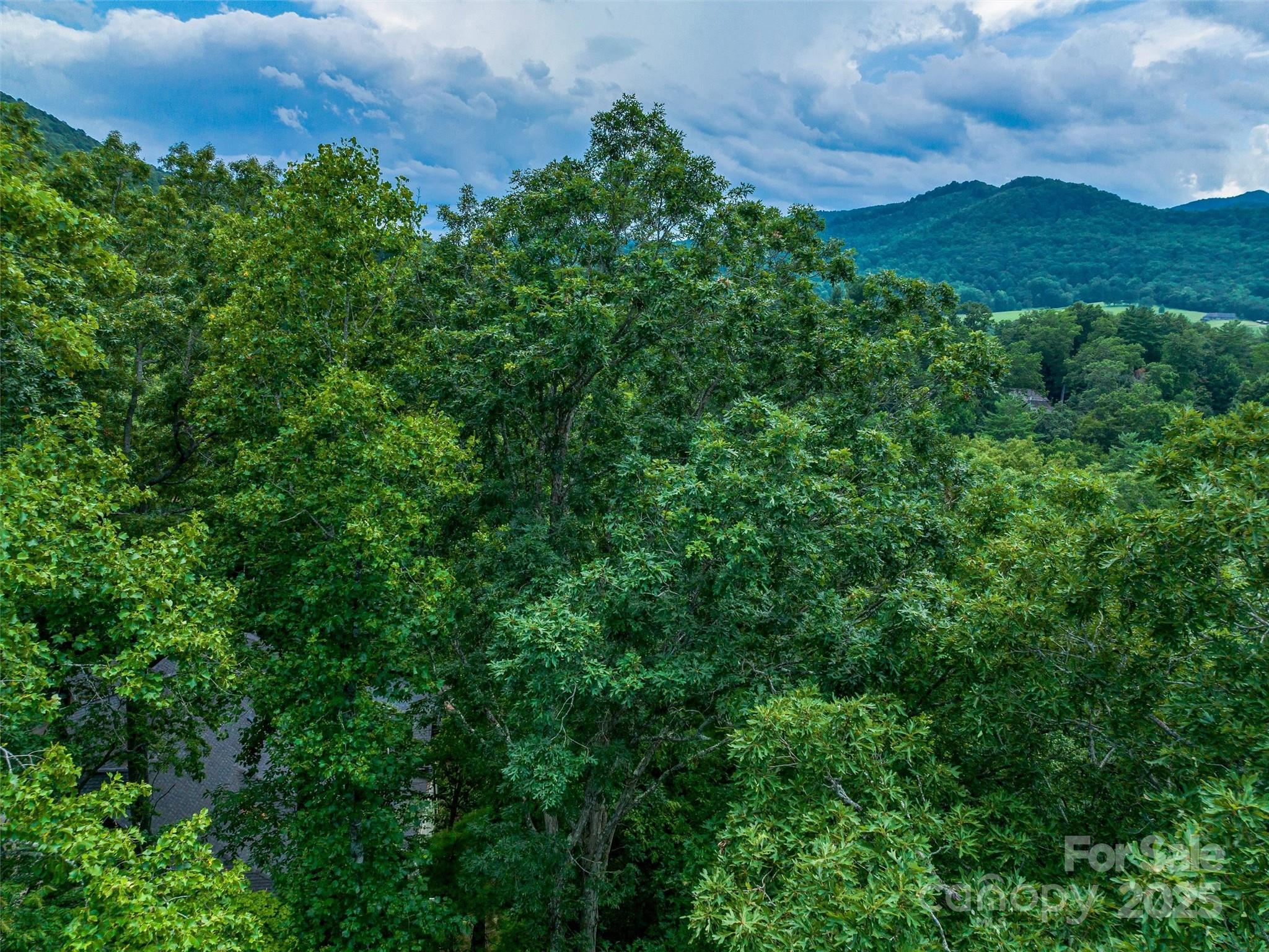 36 Dividing Ridge Trail, Unit 5 Arden, NC 28704 - Photo 5 of 18 an aerial view of a house with a yard