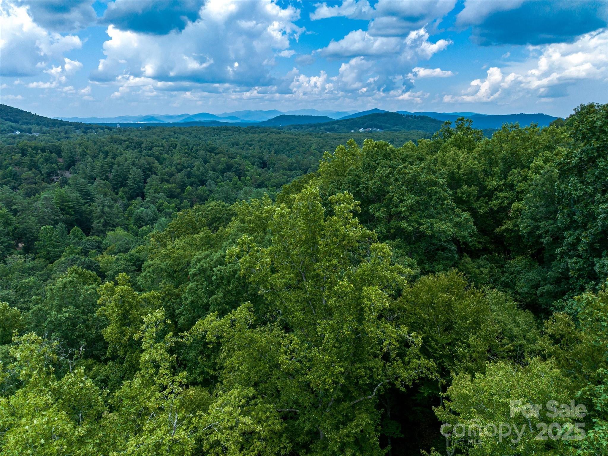 36 Dividing Ridge Trail, Unit 5 Arden, NC 28704 - Photo 8 of 18 a view of a bunch of trees