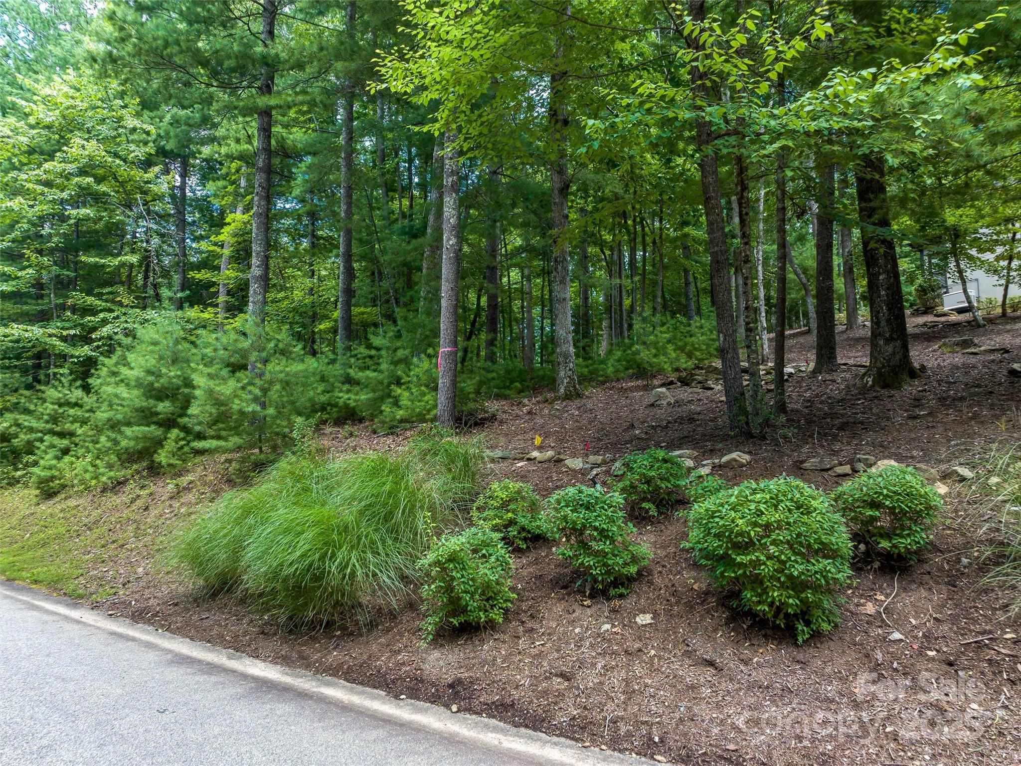 36 Dividing Ridge Trail, Unit 5 Arden, NC 28704 - Photo 9 of 18 a view of a garden with trees